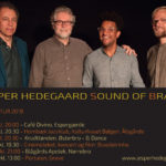 Jesper Hedegaard har viet sit liv til den brasilianske musiktradition